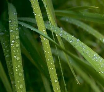 QHD Nature Wallpaper Htc Background