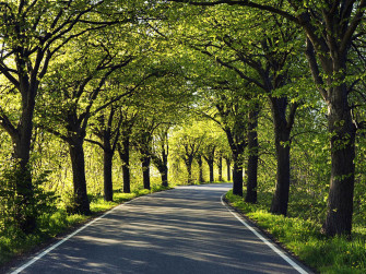 Scenic Photography Wallpaper