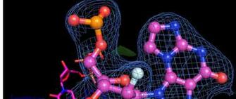 Biochemistry Image Department Of