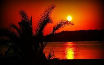 Summer Sunset Wallpaper