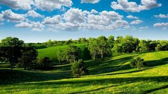 Summer Field Meadow Trees Sky Clouds Wallpaper Background