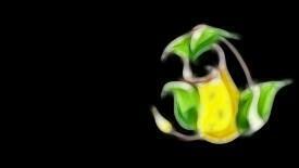 Victreebel HD Wallpaper