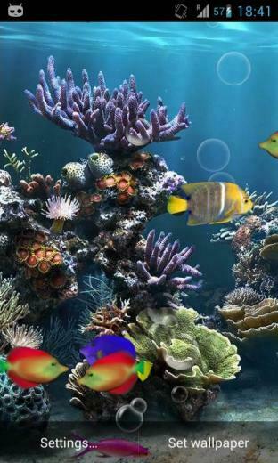 Fish Aquarium Live Wallpaper Now Watch Fishes Moving In