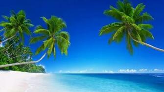 Nature Wallpaper Full HD 1080p Photo Desktop Background