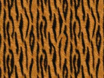 Tiger Print Tigerskin