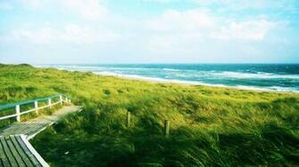 Windy Beach Wallpaper