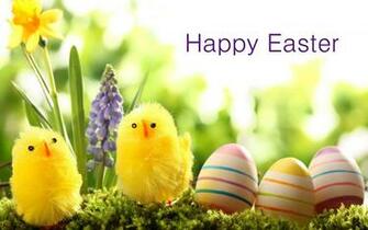 Easter Duck Wallpaper New HD