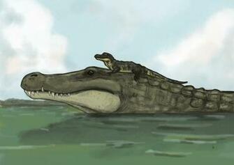 Deinosuchus By Exillustrated