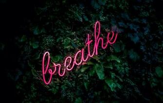 Wallpaper Leaves Letters The Inscription Neon Breathe
