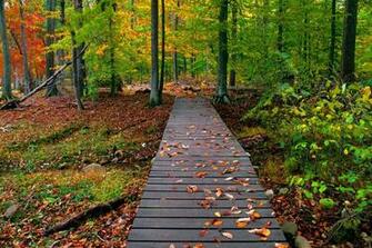 Autumn Season Wallpaper HD Beautiful