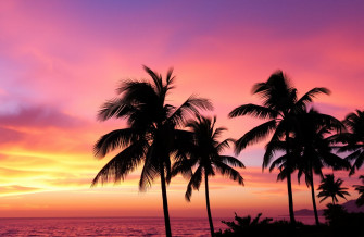 Summer Sunset Wallpaper