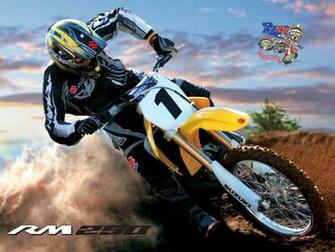 Index Of Wp Content Gallery Suzuki Rm250