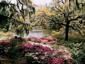 Middleton Gardens South Carolina