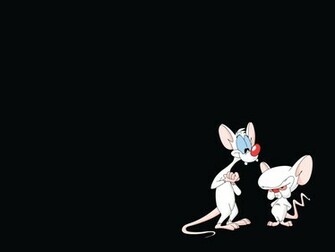 Pinky And The Brain Computer Wallpaper Desktop Background