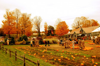 Fall Farm Wallpaper