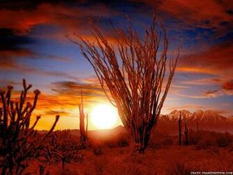 Arizona HD Picture Wallpaper Site