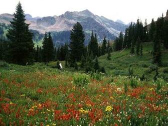Colorado Cool Background And Wallpaper For Your Desktop