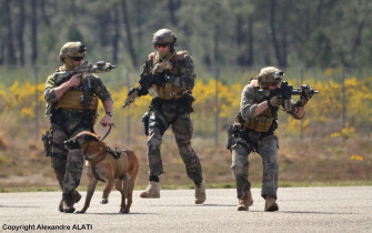 French Commandos Marine At Sofins Wallpaper