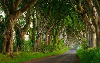 Country Road Wallpaper