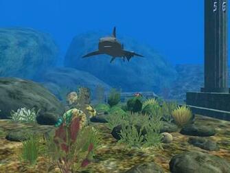 Scuba Photo Wallpaper Screensavers Funny Doblelol