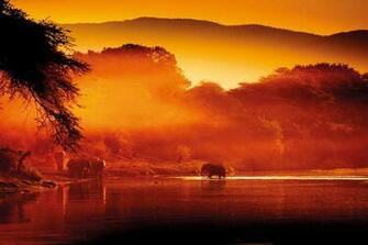 Zambia Behind The Scenes In Lower Zambezi Travel Africa
