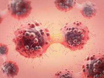 Family History Of Cancer A Significant Risk Factor For Childhood