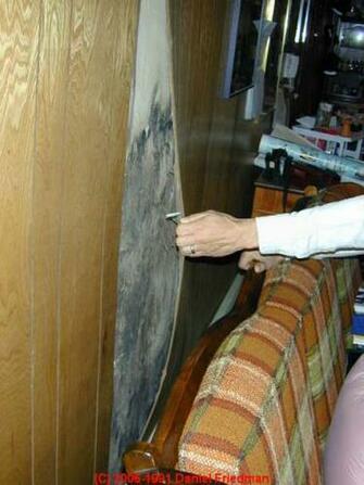 Mold Behind Wall Paneling C Daniel Friedman