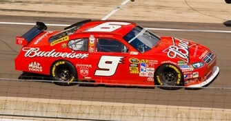 Budweiser Nascar Racing Wallpaper