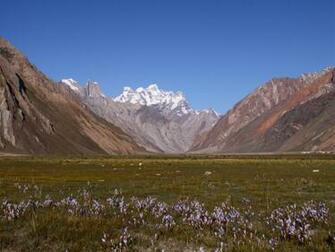 HD Himalaya Wallpaper