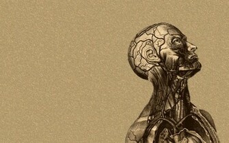 Gain Control Of Your Emotions Let Neurons Do The Work For You