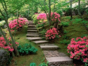 Flower Garden Wallpaper Top HD