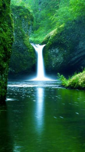 Green Forest Creek Waterfall iPhone Wallpaper HD