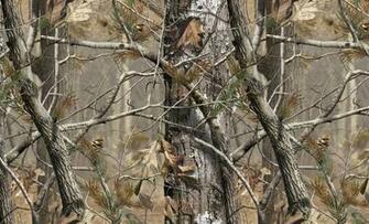 Camo Realtree