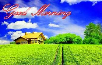 Good Morning Image Wallpaper Photo Pics HD For