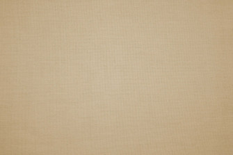 Tan Background Wallpaper