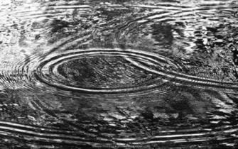 Drops Of Water Black And White Wallpaper Ultimate