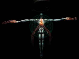 The Song You Lied By Rock Band Tool Wallpaper