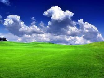 Nature Wallpaper Bright Green Grass