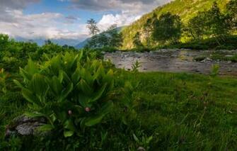 Wallpaper Summer The Sky Clouds Trees Landscape Mountains