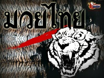 Muay Thai Wallpaper Archives