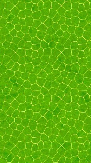 Abstract Gree Wallpaper For Samsung Galaxy
