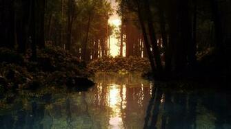 Swamp Wallpaper HD Pw