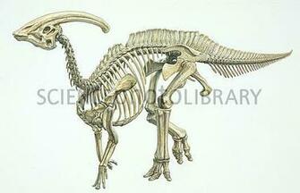 Dinosaur Skeleton Wallpaper Car