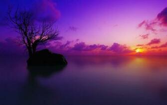 Purple Sunset Wallpaper Sf