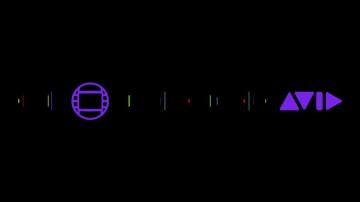 High Resolution Avid Wallpaper