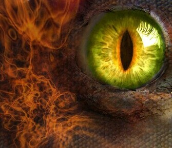 dragon eye for anything other than msi