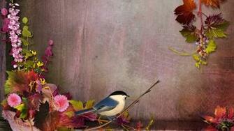 Fall Flowers Wallpaper