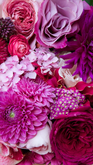 Floral Phone Wallpaper Summer Collection Photo Backdrops
