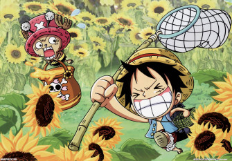 Luffy Funny Wallpaper