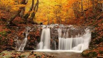 Fall Desktop Wallpaper HD Net